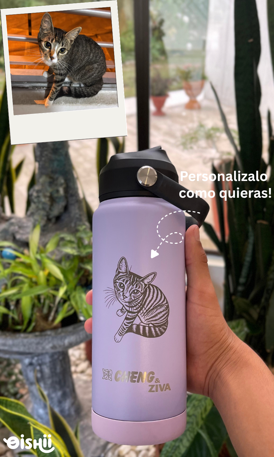 MIZU Morado Lila | 710 ml