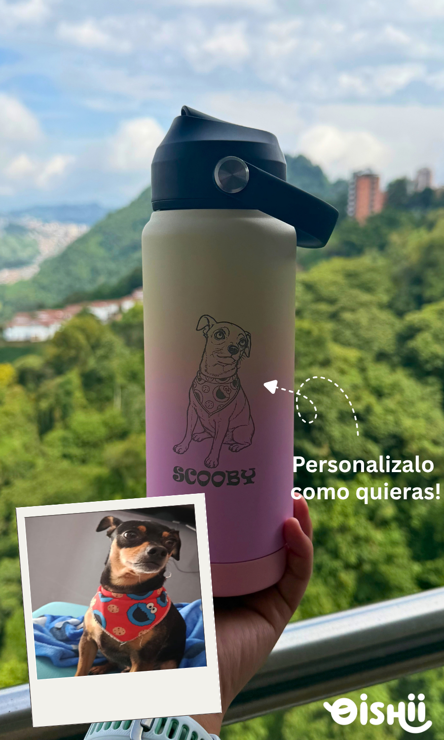 MIZU  Amarillo Degrade Rosado | 710 ml