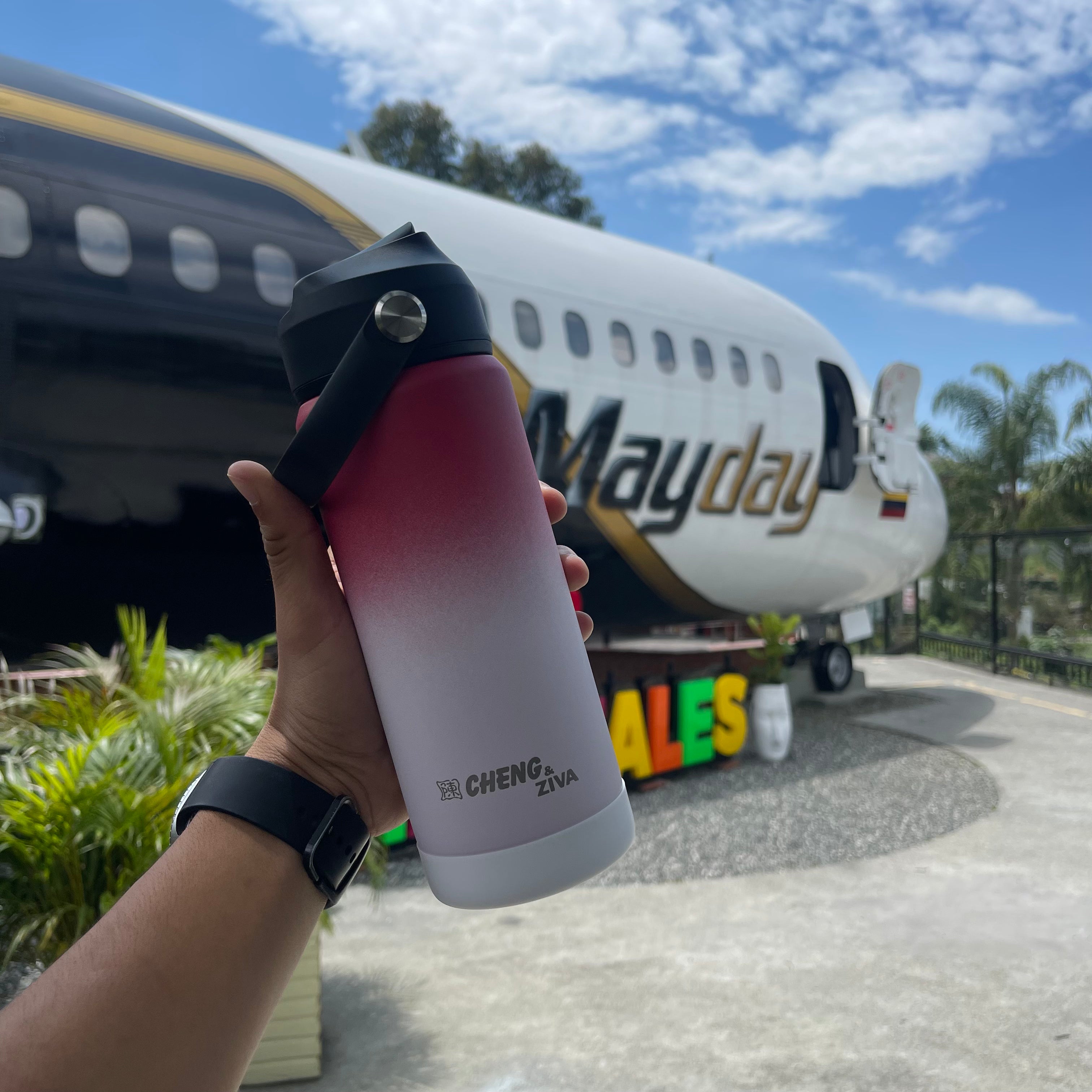 MIZU Vinotinto Degrade Blanco | 535 ml
